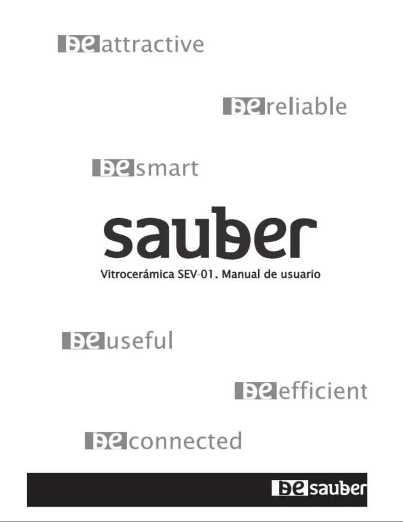 Page 1 de la notice Manuel utilisateur Sauber SEV-01