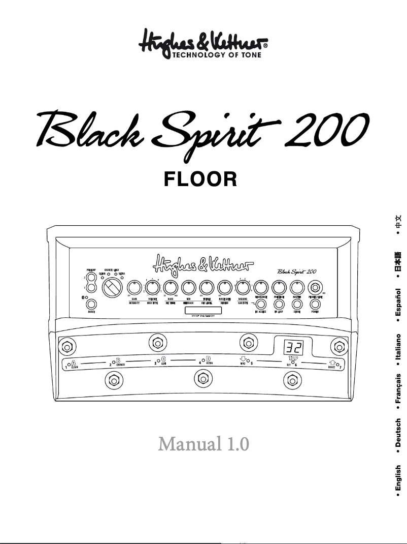 Page 1 de la notice Manuel utilisateur Hughes & Kettner Black Spirit 200