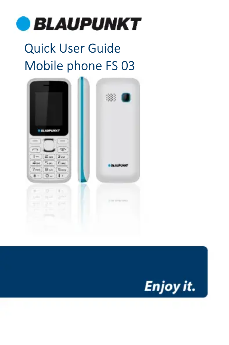 Page 1 de la notice Manuel utilisateur Blaupunkt FS 03