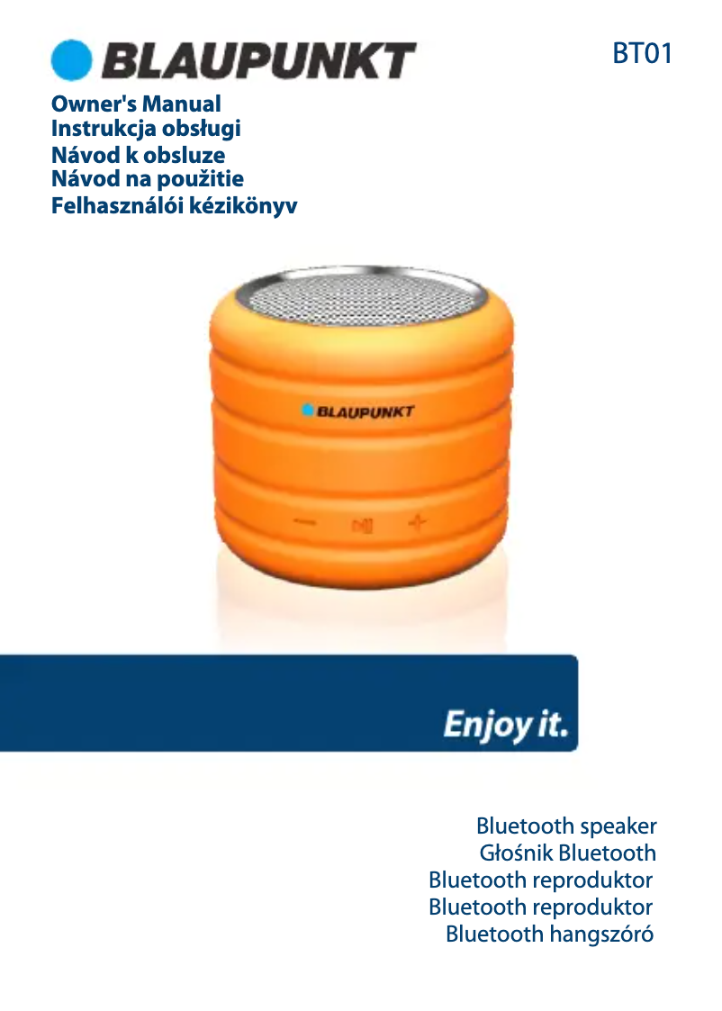 Image de la première page du manuel de l'appareil BT01OR