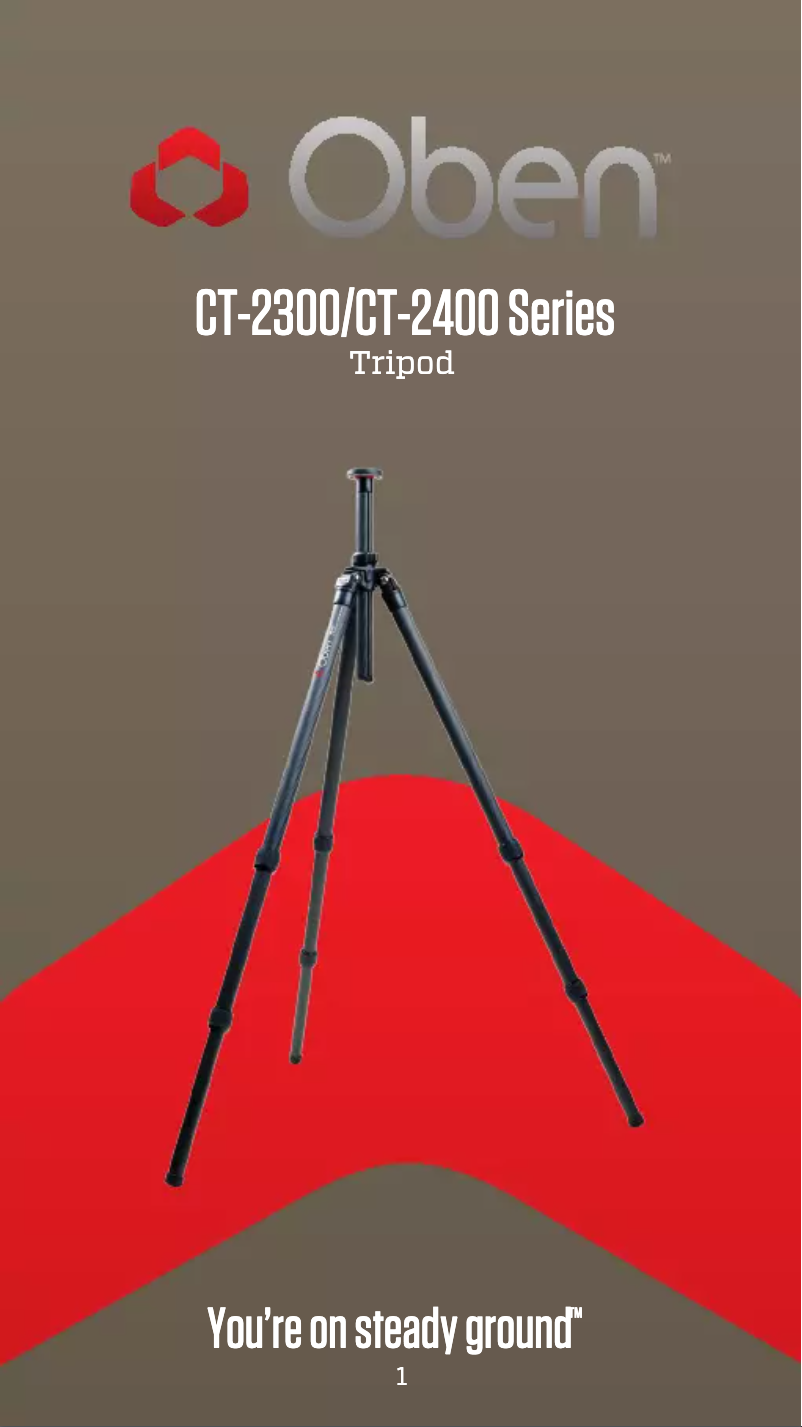 Image de la première page du manuel de l'appareil CT-2491