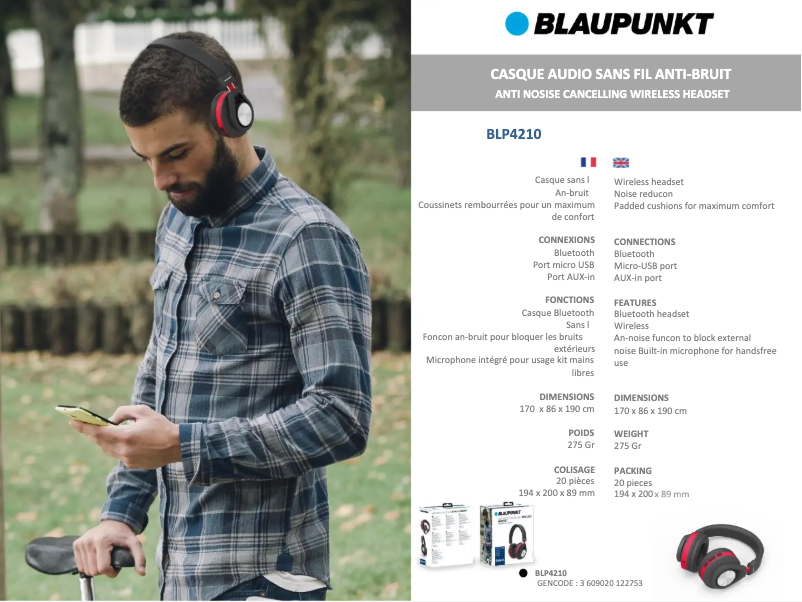 Page n°1 - Fiche technique Blaupunkt BLP4210