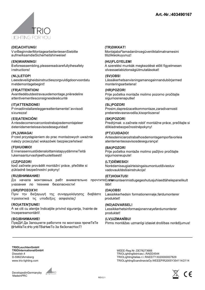 Page n°1 - Manuel utilisateur Trio Lighting Delhi 403490167