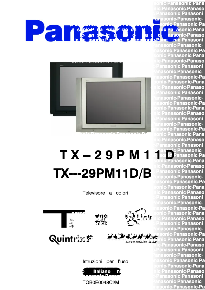 Page 1 of the manual User Manual Panasonic TX-29PM11DB
