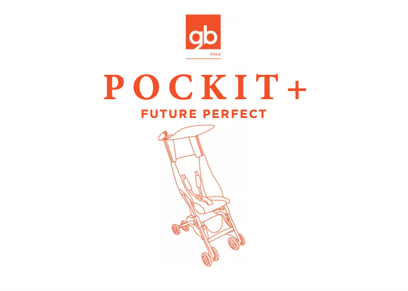 Page 1 de la notice Manuel utilisateur GB Gold Pockit+