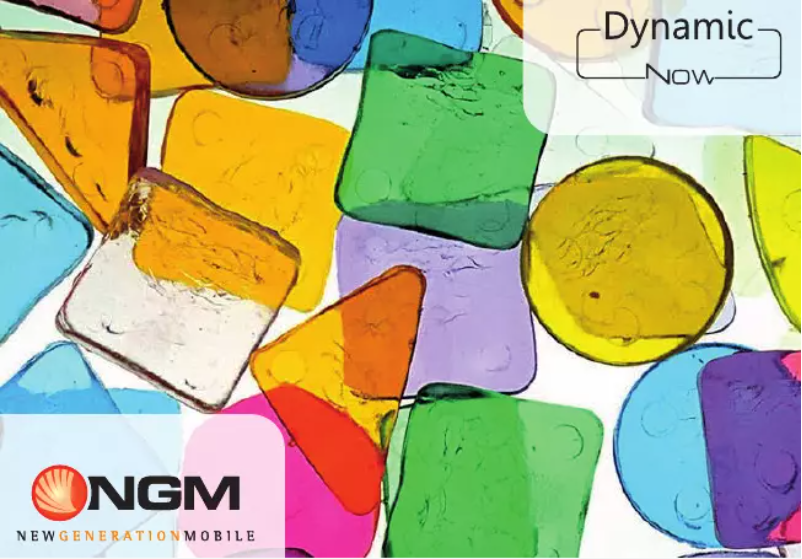 Page n°1 - Manuel utilisateur NGM Dynamic Now