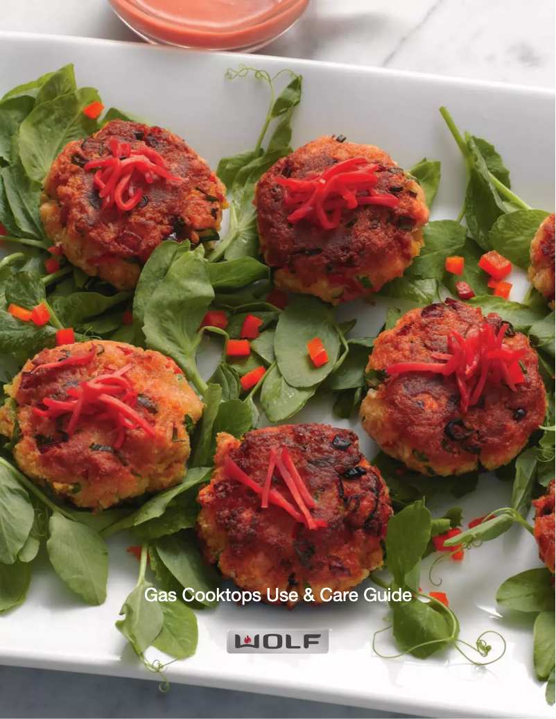 Page 1 de la notice Manuel d'utilisation et d'entretien Wolf CG365P