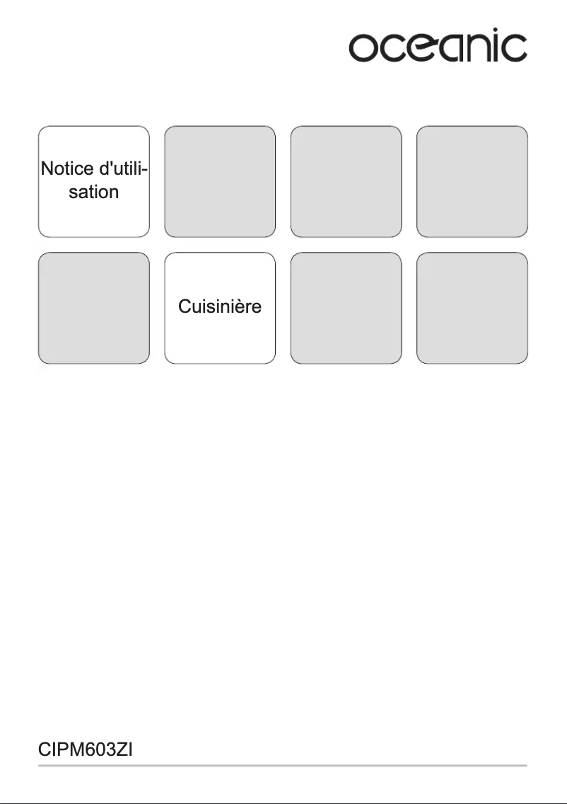 Image de la première page du manuel de l'appareil OCEACIPM603ZI