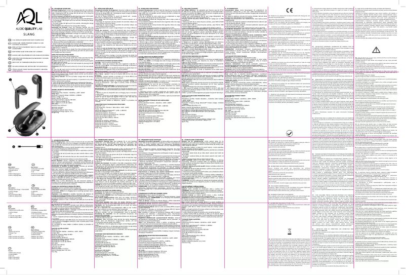 Page n°1 - Manuel utilisateur AQL Slang