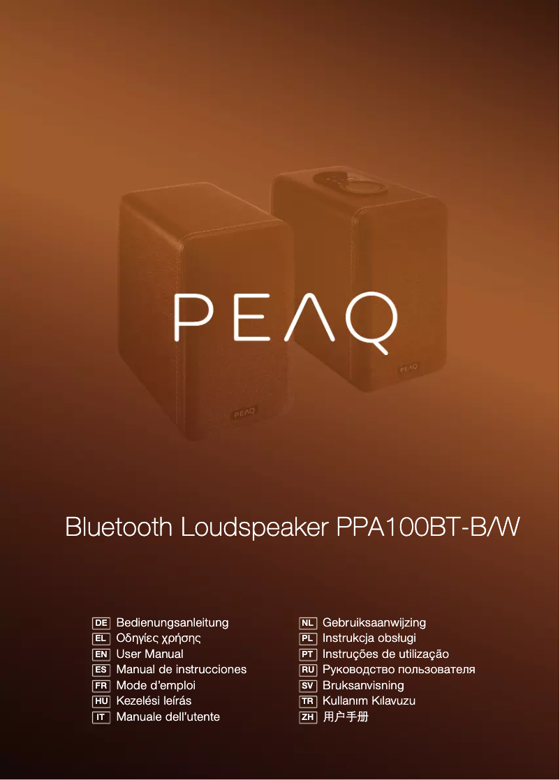 Page 1 de la notice Manuel utilisateur PEAQ PPA100BT-B