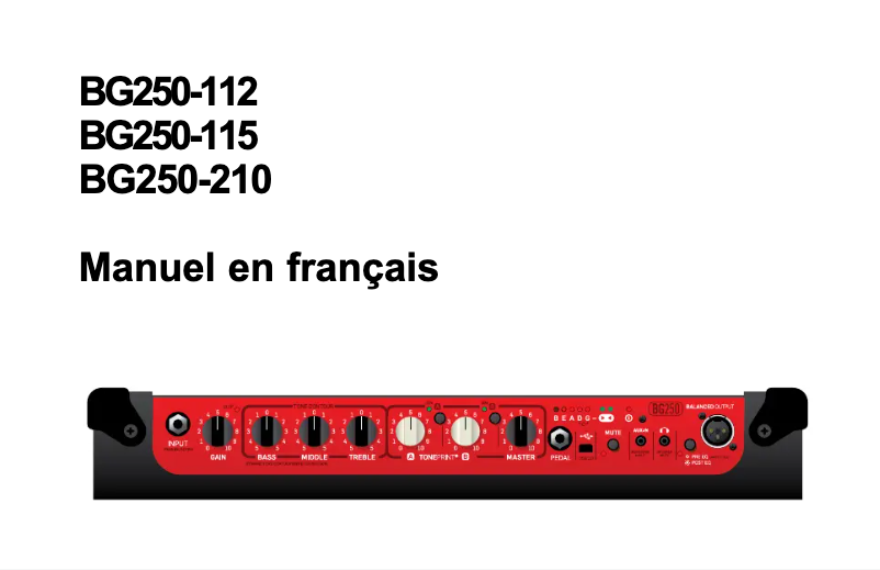 Image de la première page du manuel de l'appareil BG250-210