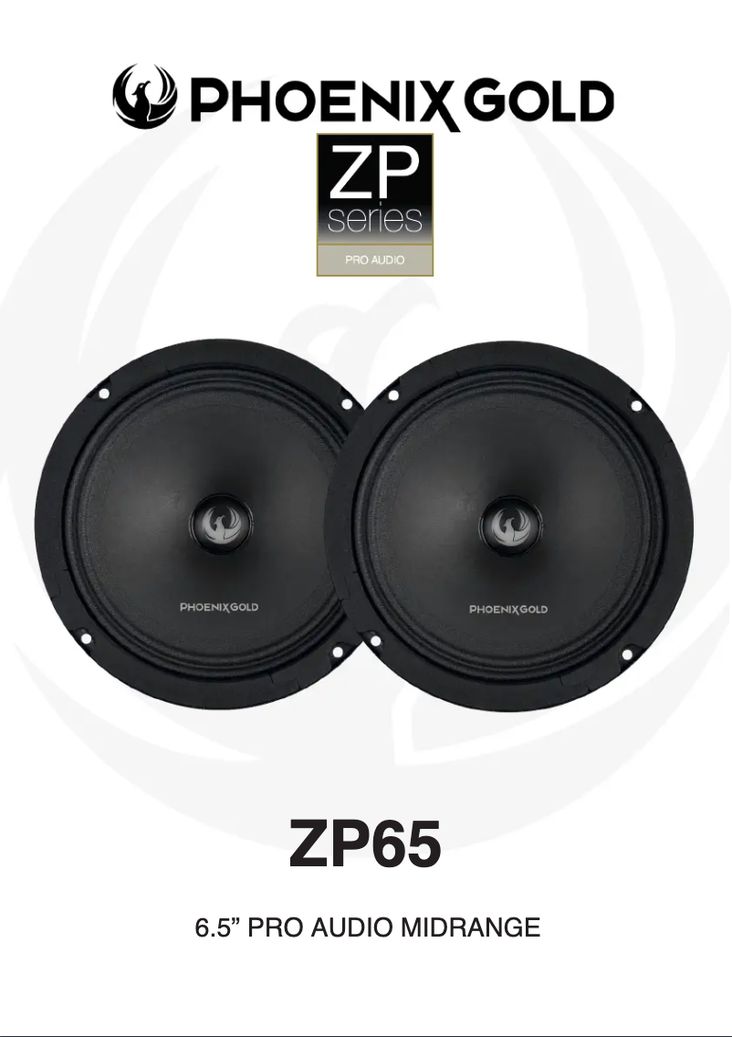 Page 1 de la notice Manuel utilisateur Phoenix Gold ZP65