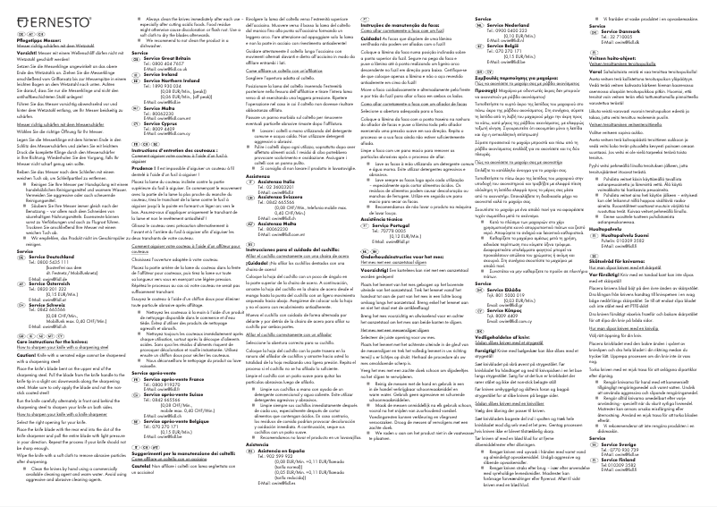 Page n°1 - Manuel utilisateur Ernesto HG00404