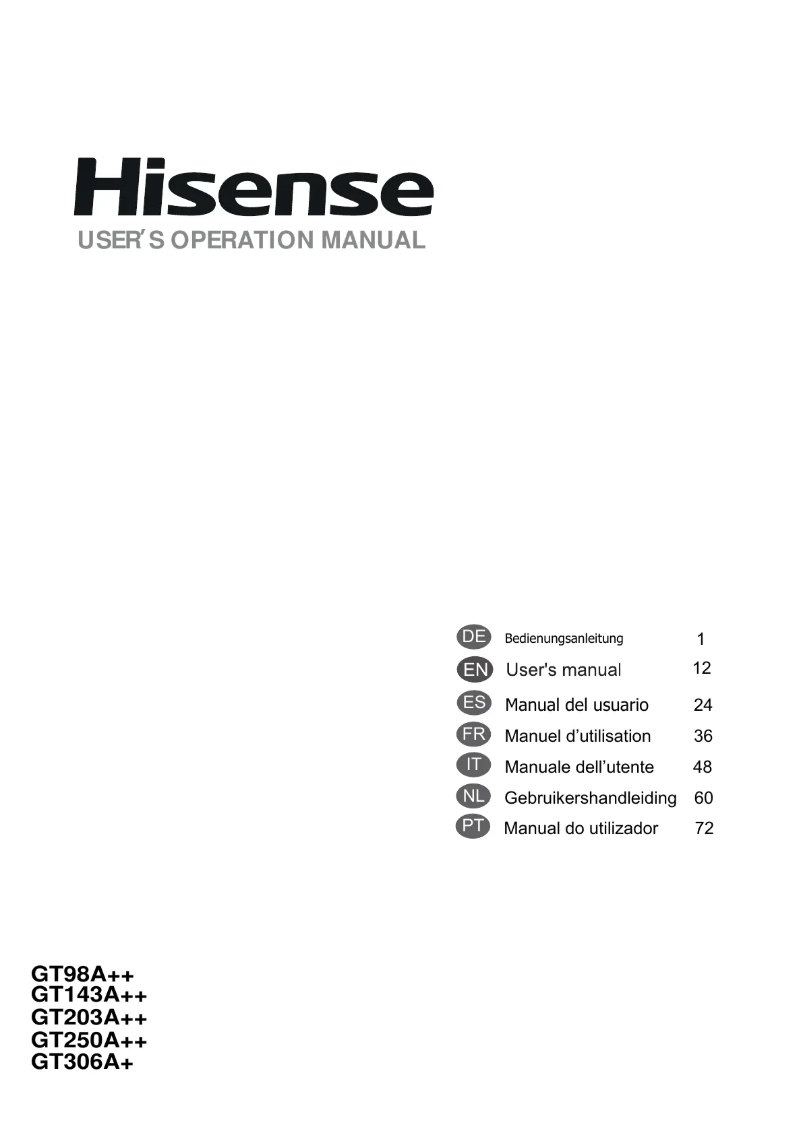 Page 1 de la notice Manuel utilisateur Hisense GT306A