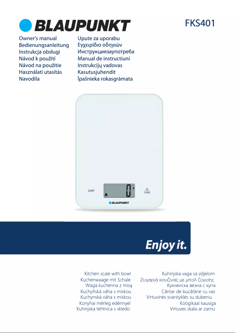 Page 1 de la notice Manuel utilisateur Blaupunkt FKS401