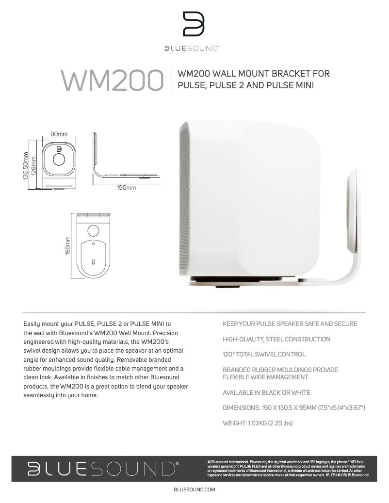 Página 1 del manual Manual de usuario Bluesound WM200