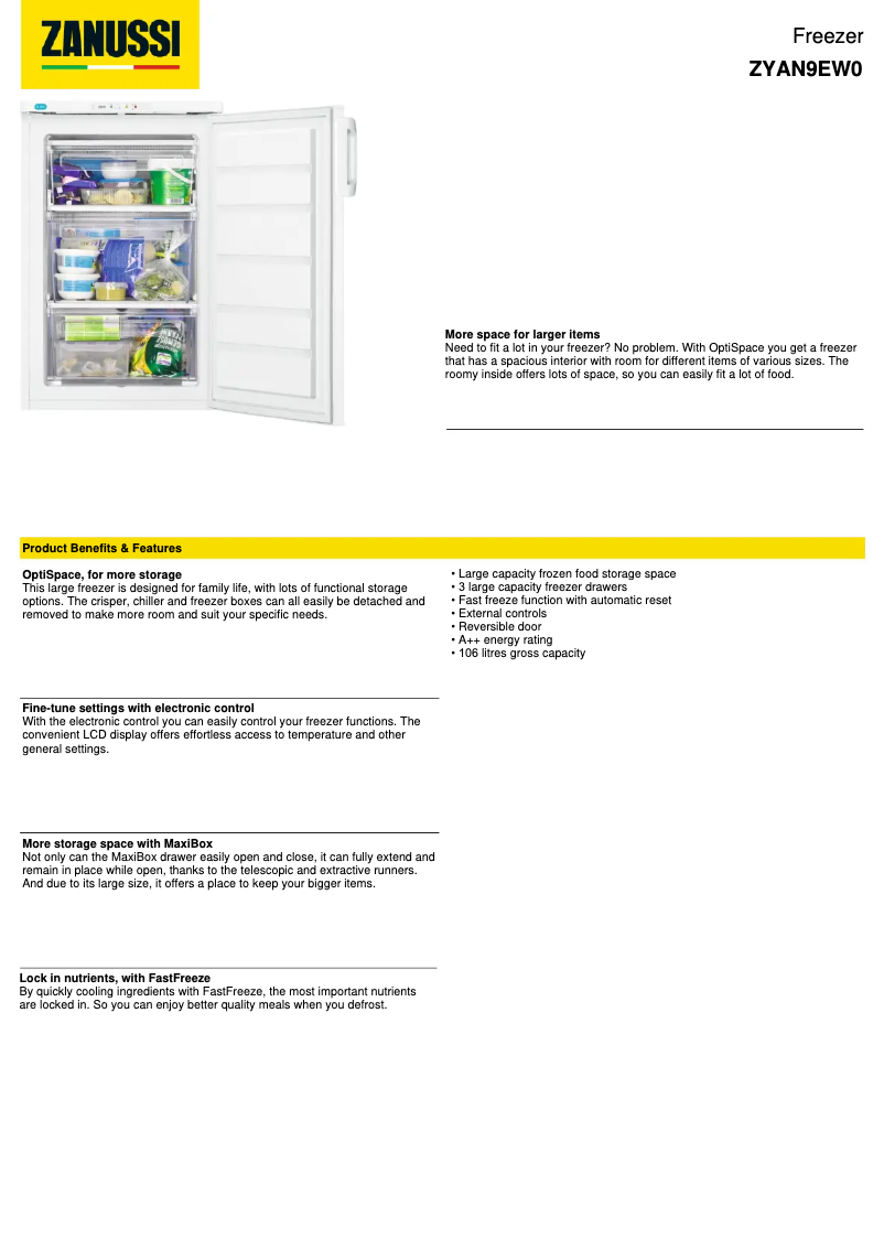 Image de la première page du manuel de l'appareil ZYAN9EW0