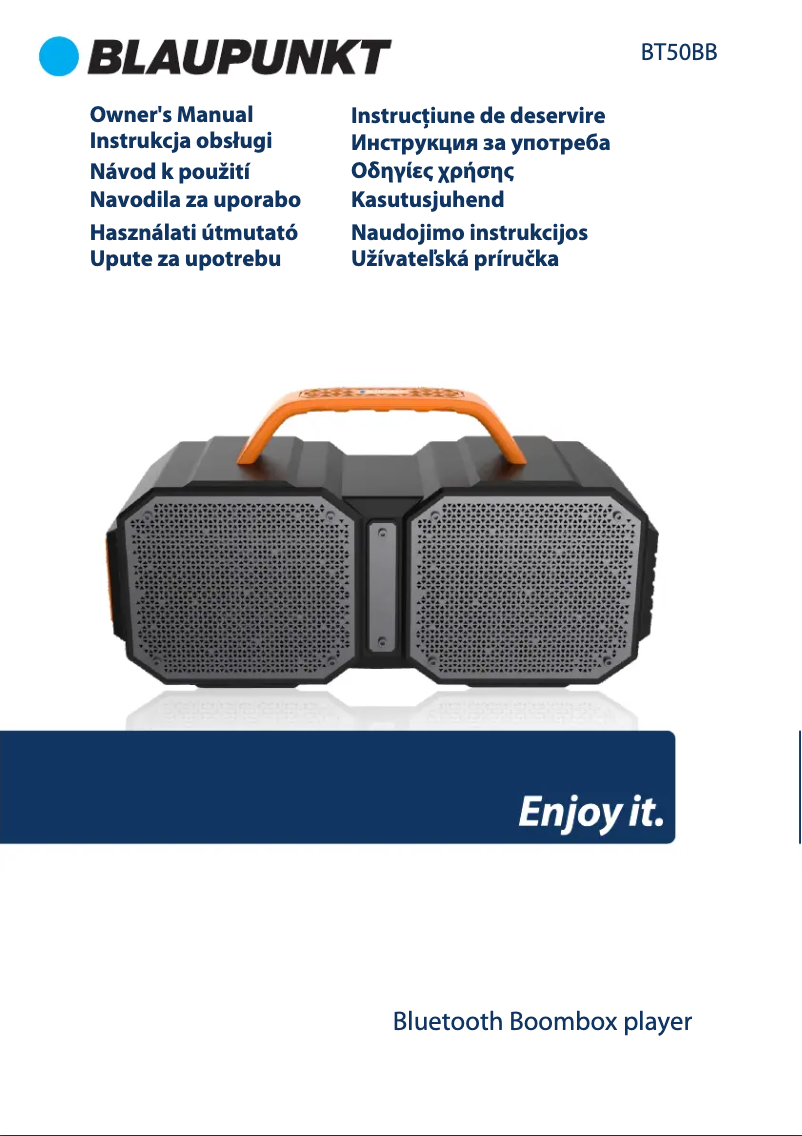 Page 1 de la notice Manuel utilisateur Blaupunkt BT50BB