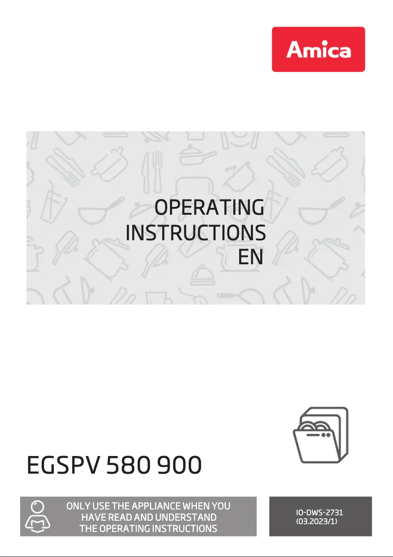 Page n°1 - Manuel utilisateur Amica EGSPV 580 900