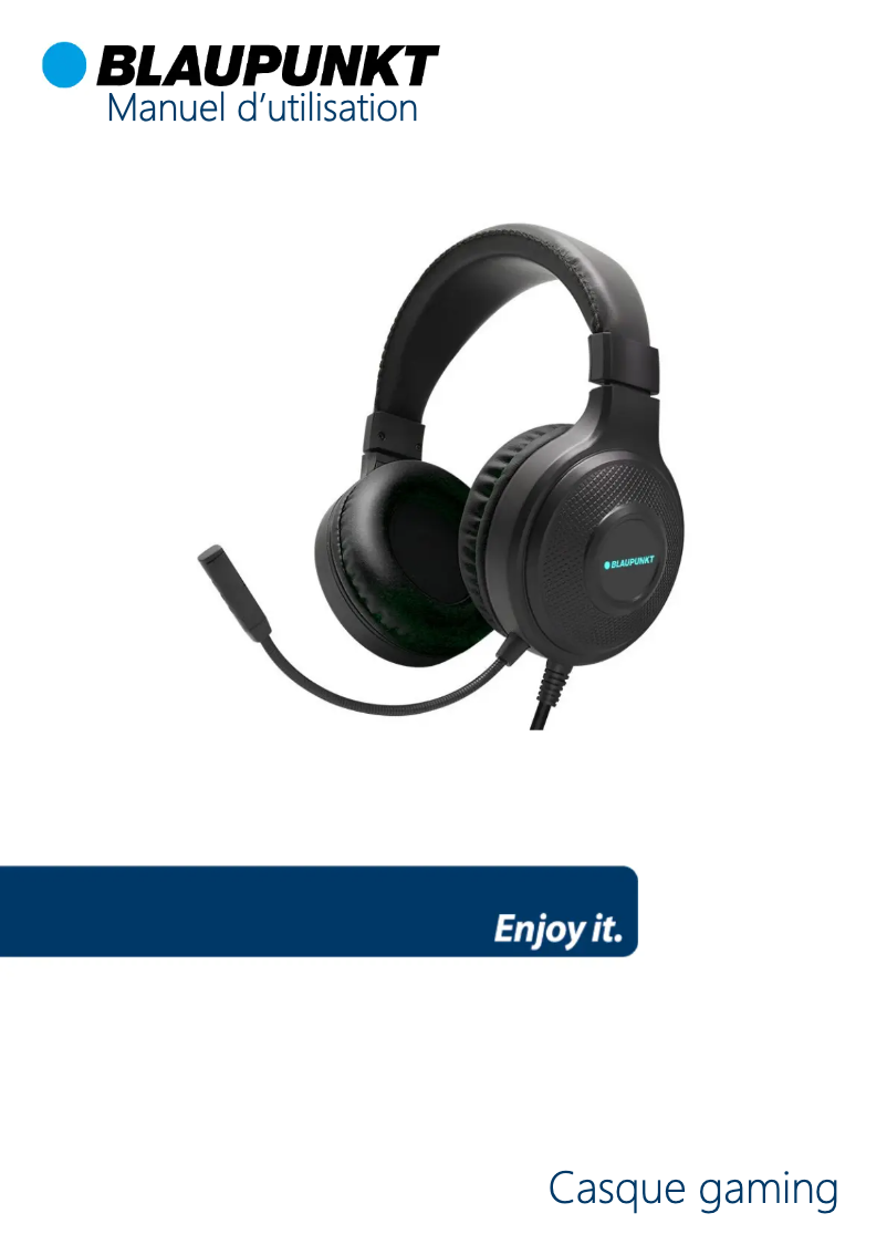 Page n°1 - Manuel utilisateur Blaupunkt BLP069