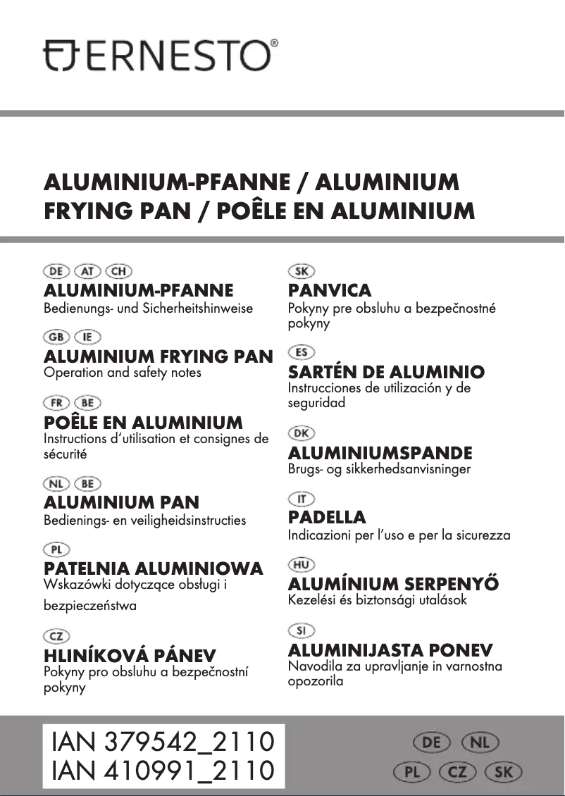 Page 1 de la notice Manuel utilisateur Ernesto HG09119A