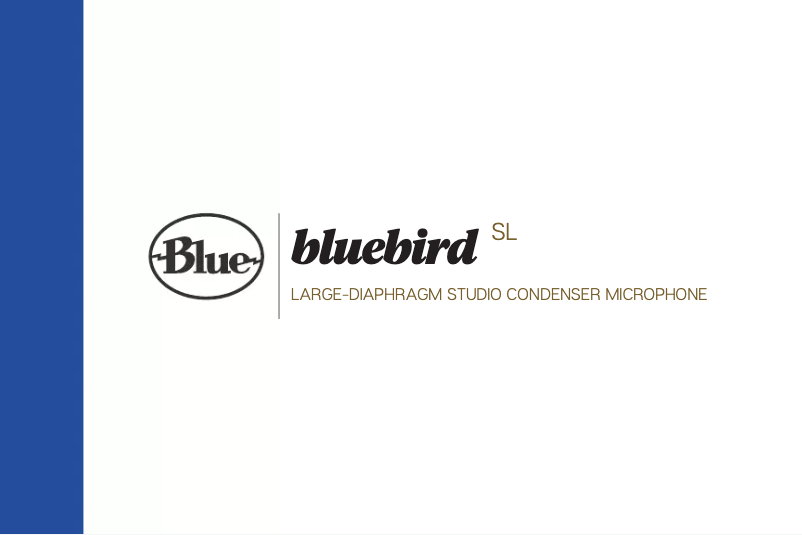 Imagen de la primera página del manual del dispositivo Bluebird SL
