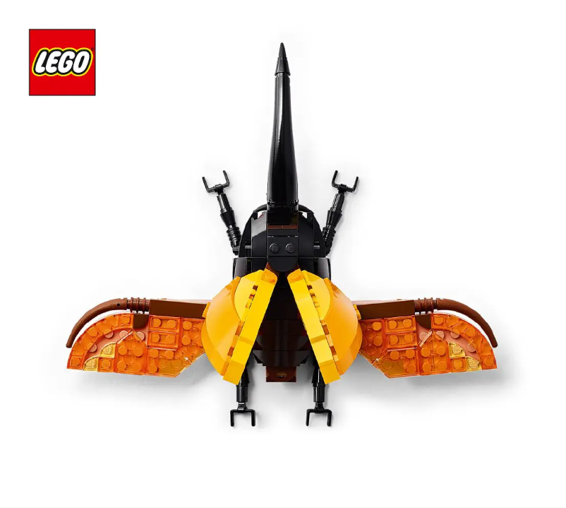 Imagen de la primera página del manual del dispositivo Ideas 21342