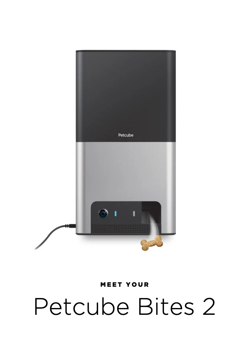 Page n°1 - Manuel utilisateur Petcube Bites 2