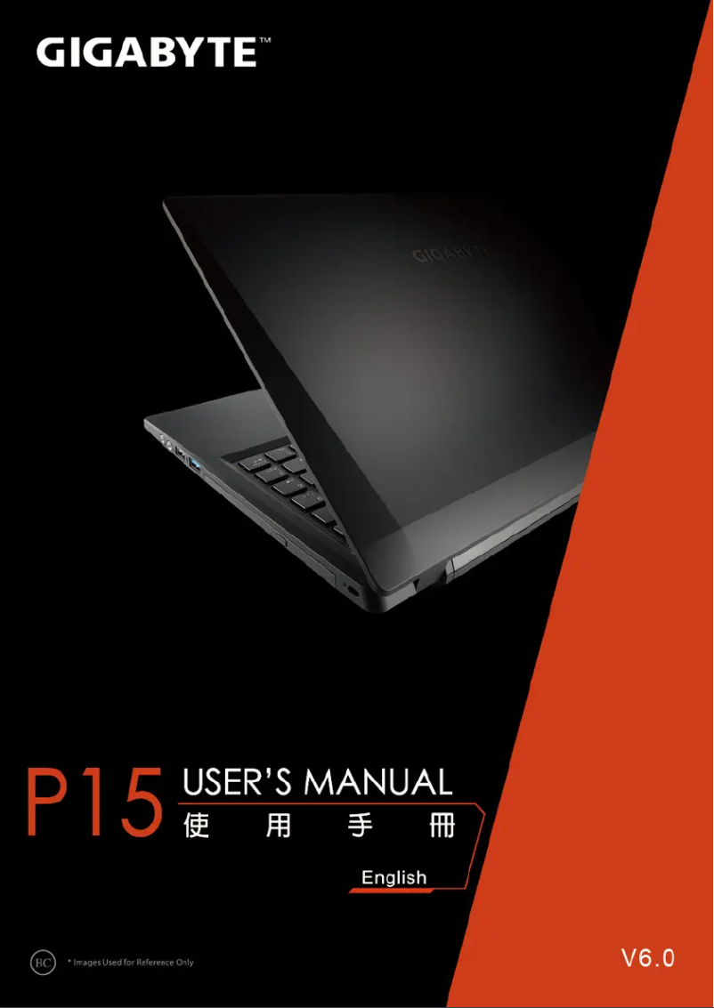 Image de la première page du manuel de l'appareil P15F v3