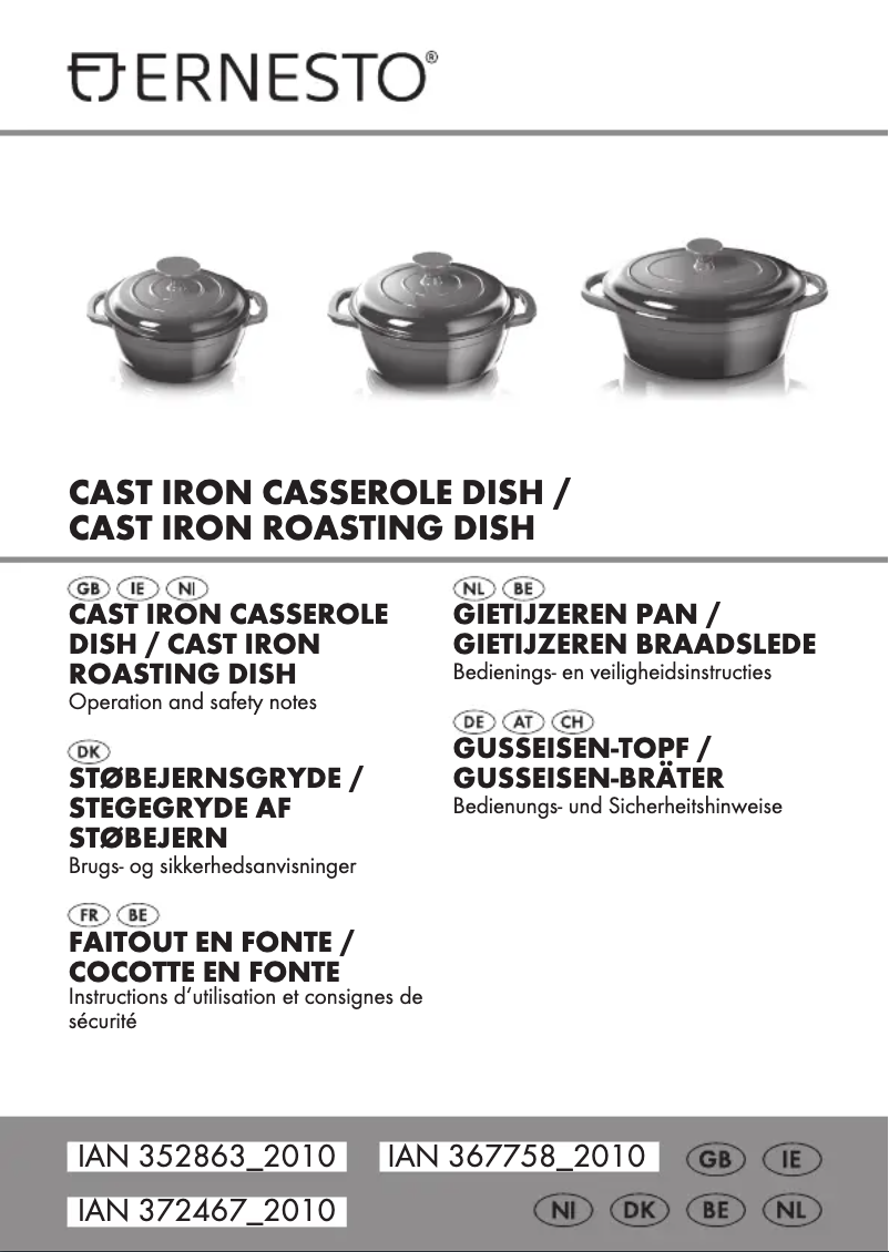 Page n°1 - Manuel utilisateur Ernesto IAN 314948