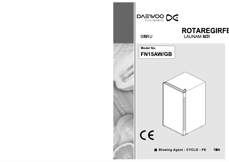 Page n°1 - Manuel utilisateur Daewoo FN15GB