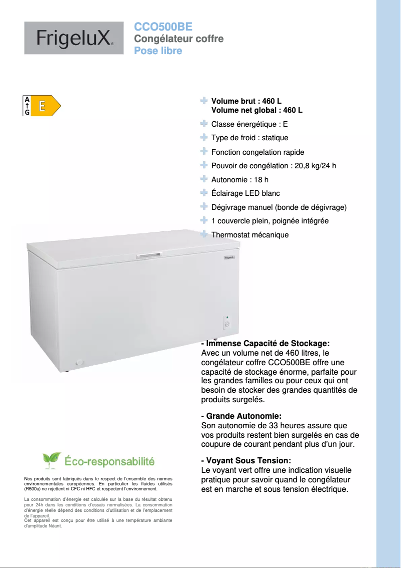 Page 1 de la notice Fiche technique FrigeluX CCO500BE