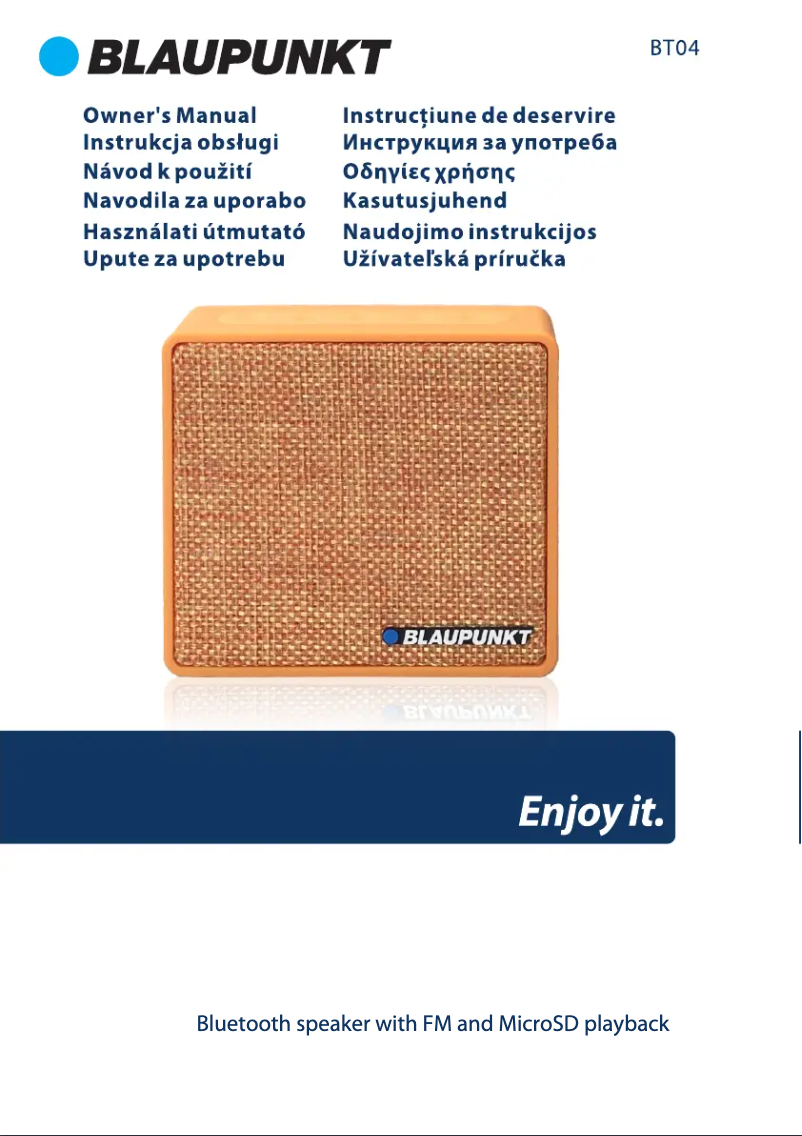 Image de la première page du manuel de l'appareil BT04BL