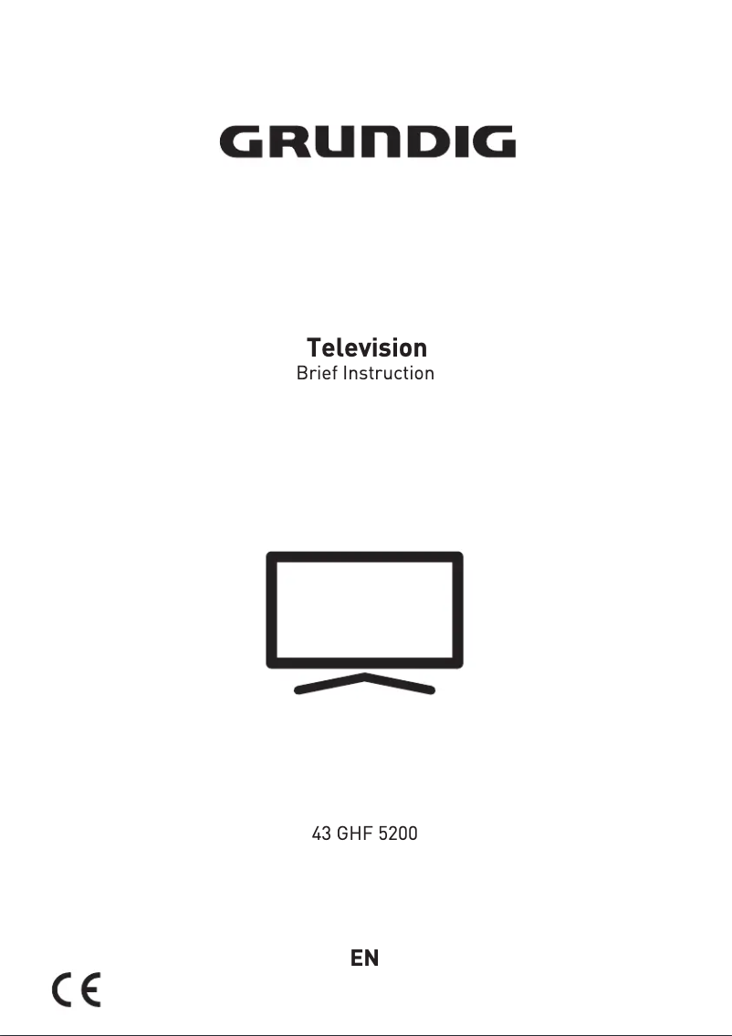 Page 1 de la notice Manuel utilisateur Grundig 43 GHF 5200