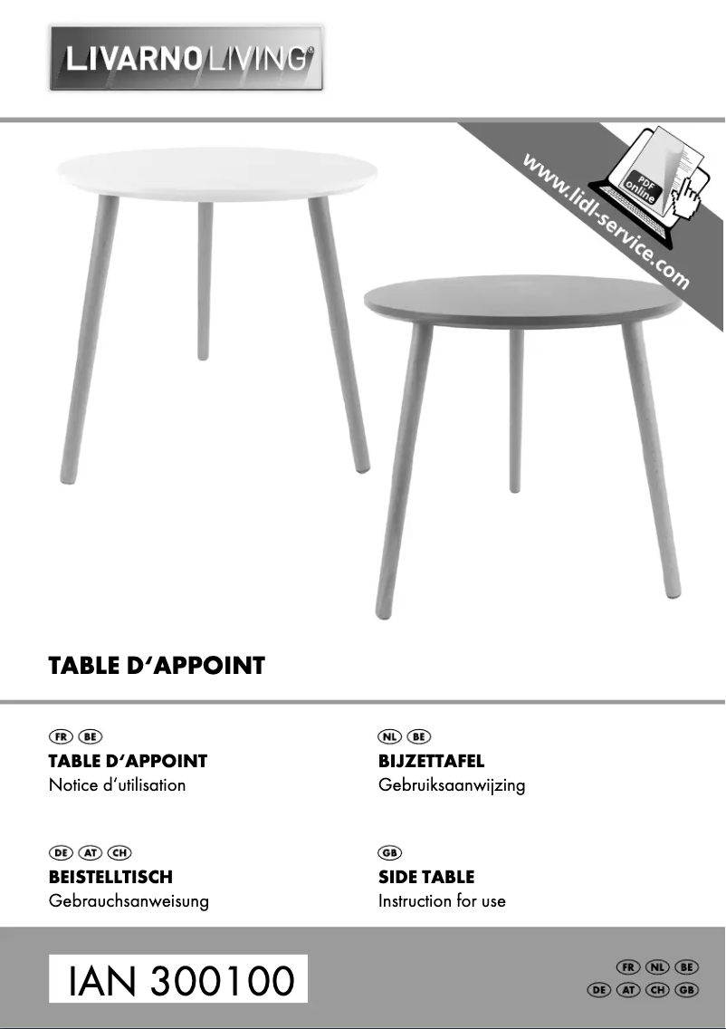 Image de la première page du manuel de l'appareil IAN 300100