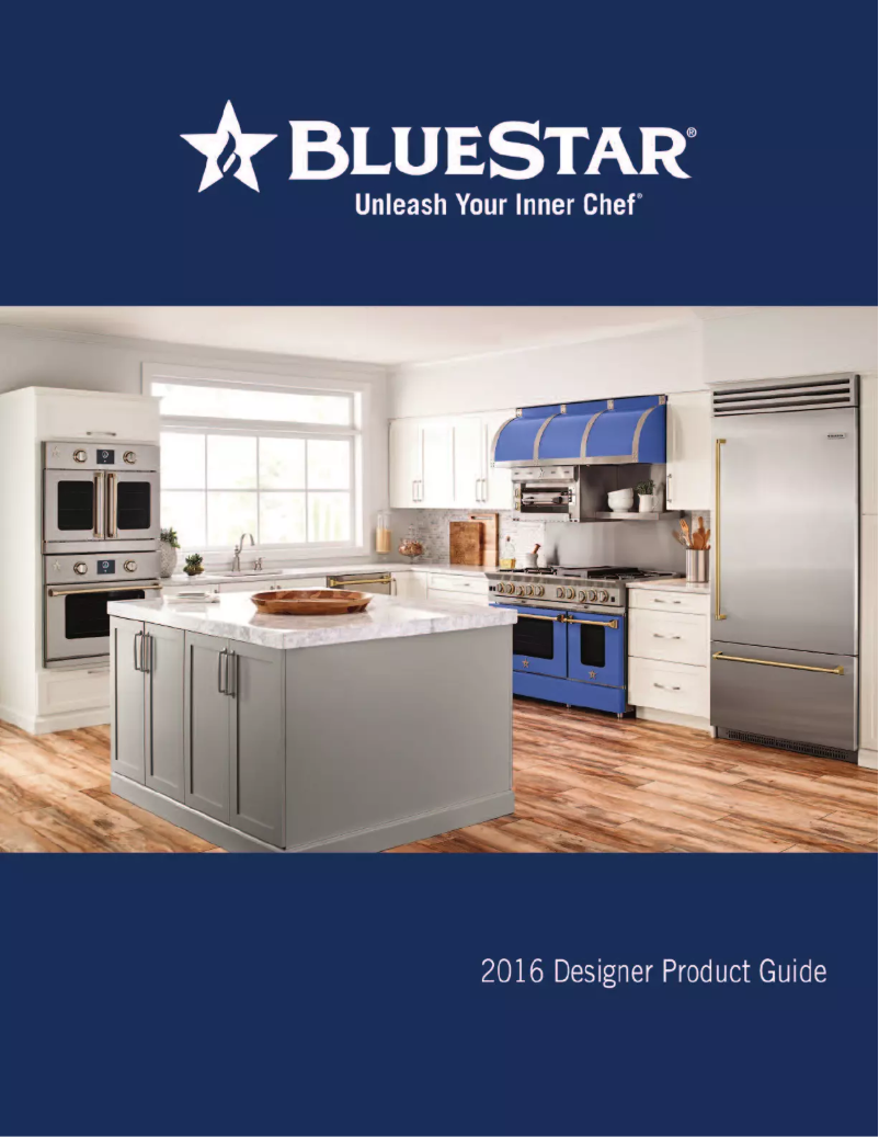 Page 1 de la notice Mode d'emploi BlueStar BS-HAMP36SS