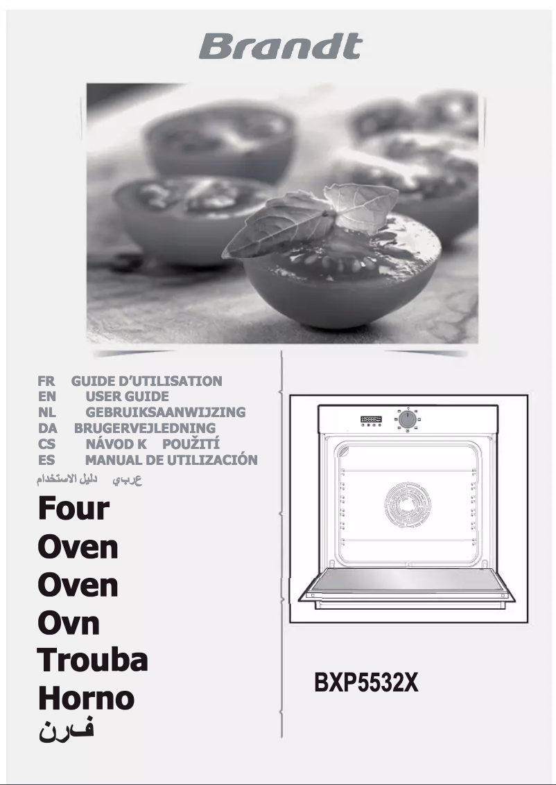 Image de la première page du manuel de l'appareil BXP5532X