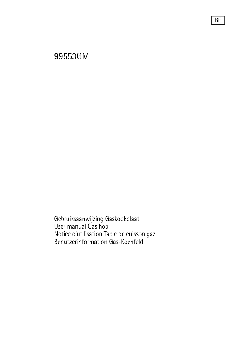 Image de la première page du manuel de l'appareil 99553 GM