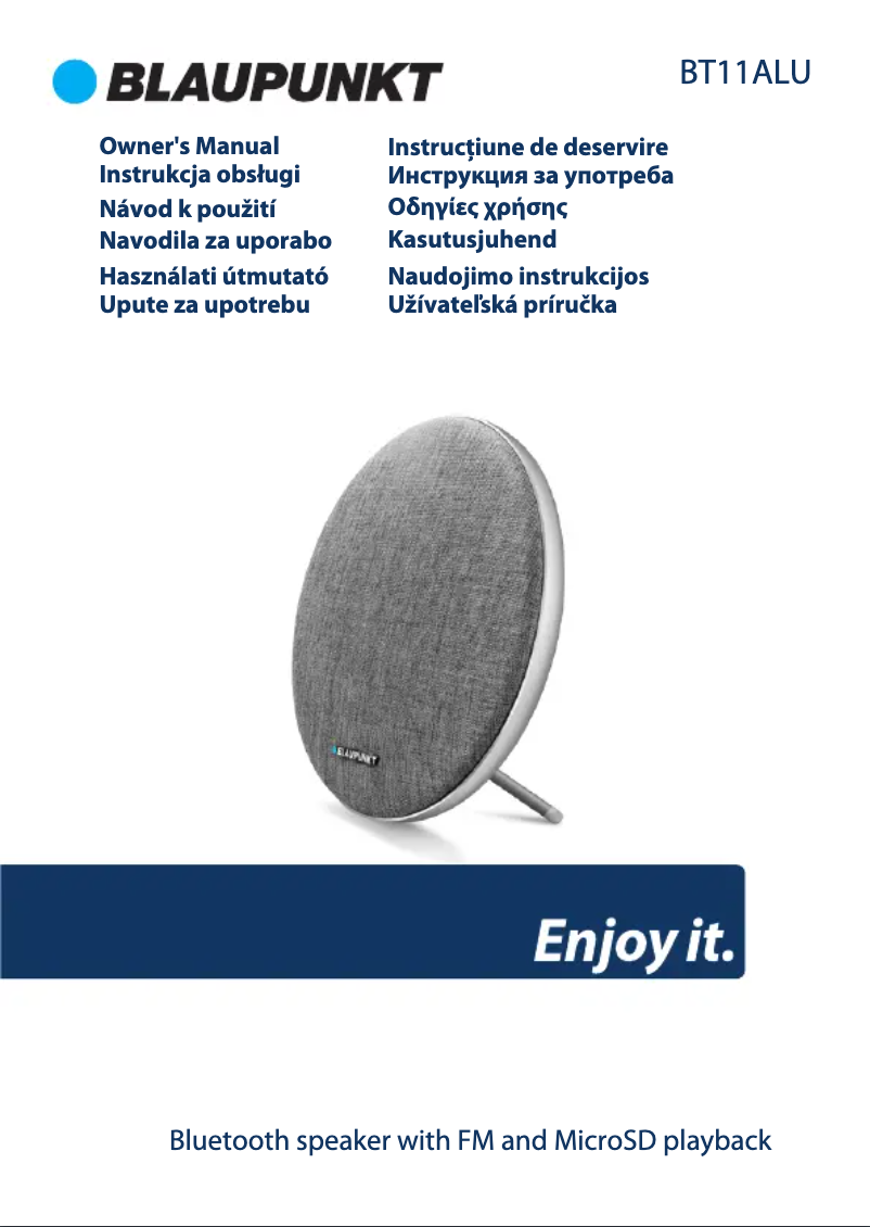 Page 1 de la notice Manuel utilisateur Blaupunkt BT11ALU