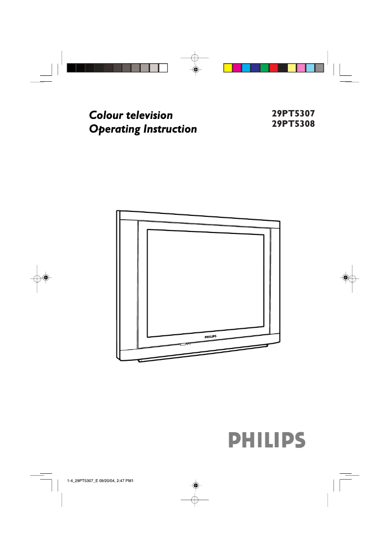 Page 1 de la notice Manuel utilisateur Philips 29PT5308