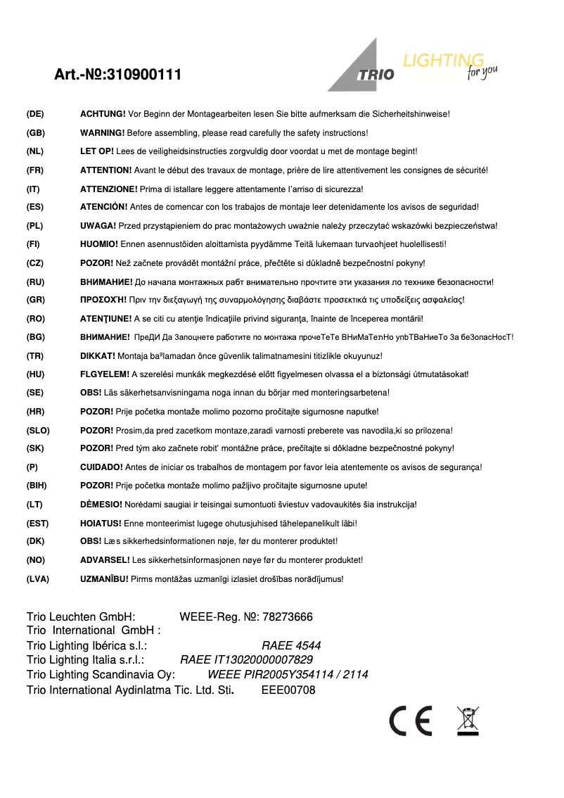 Page n°1 - Manuel utilisateur Trio Lighting Rotin 310900111