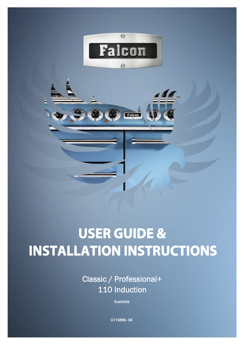 Page n°1 - Manuel utilisateur Falcon Professional+ 110