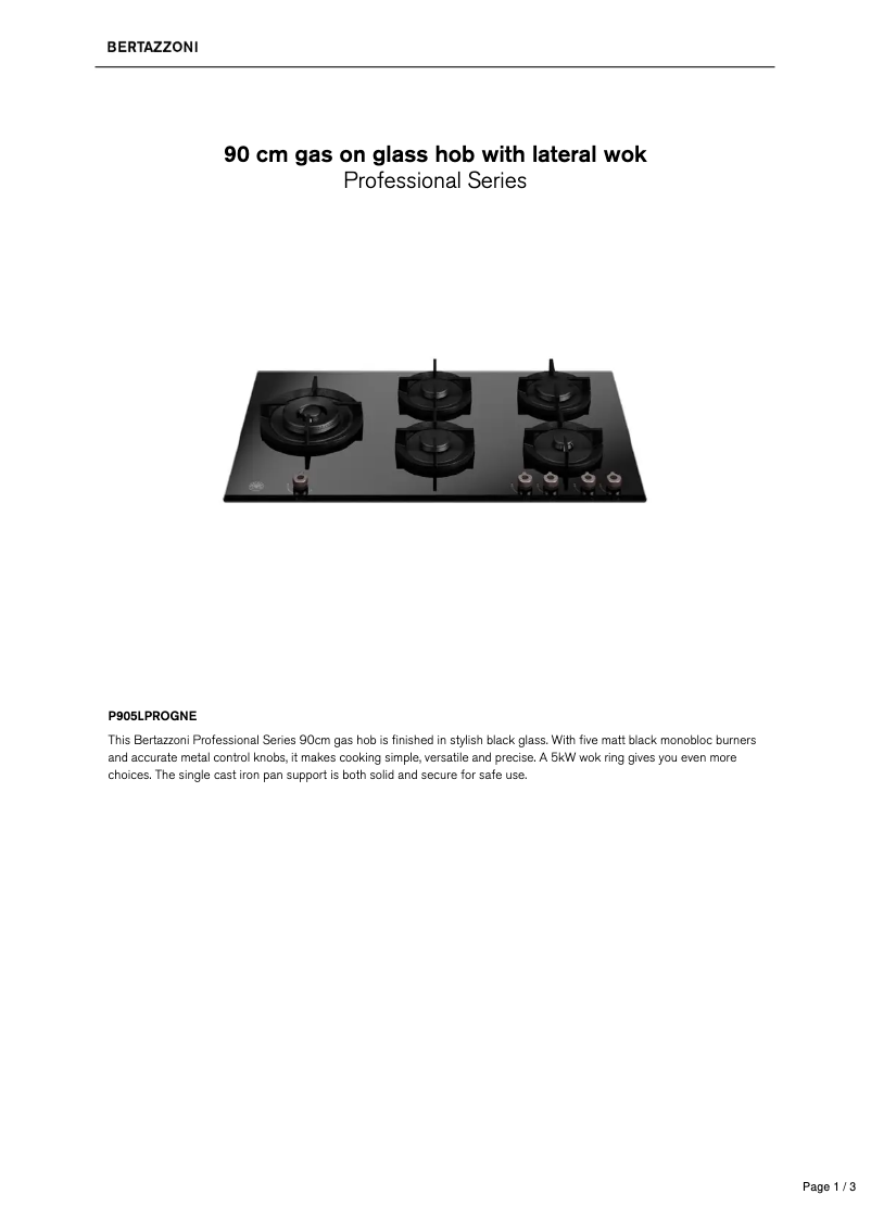 Image de la première page du manuel de l'appareil P905LPROGNE