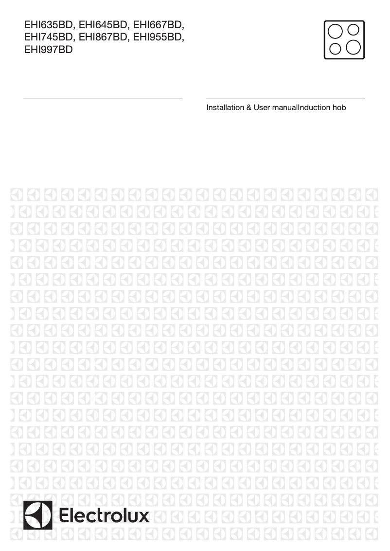 Image de la première page du manuel de l'appareil EHI667BD