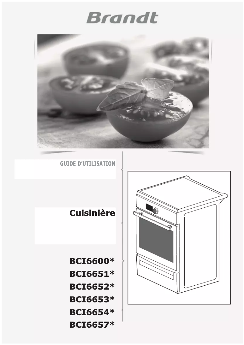 Page 1 de la notice Manuel utilisateur Brandt BCI6600W