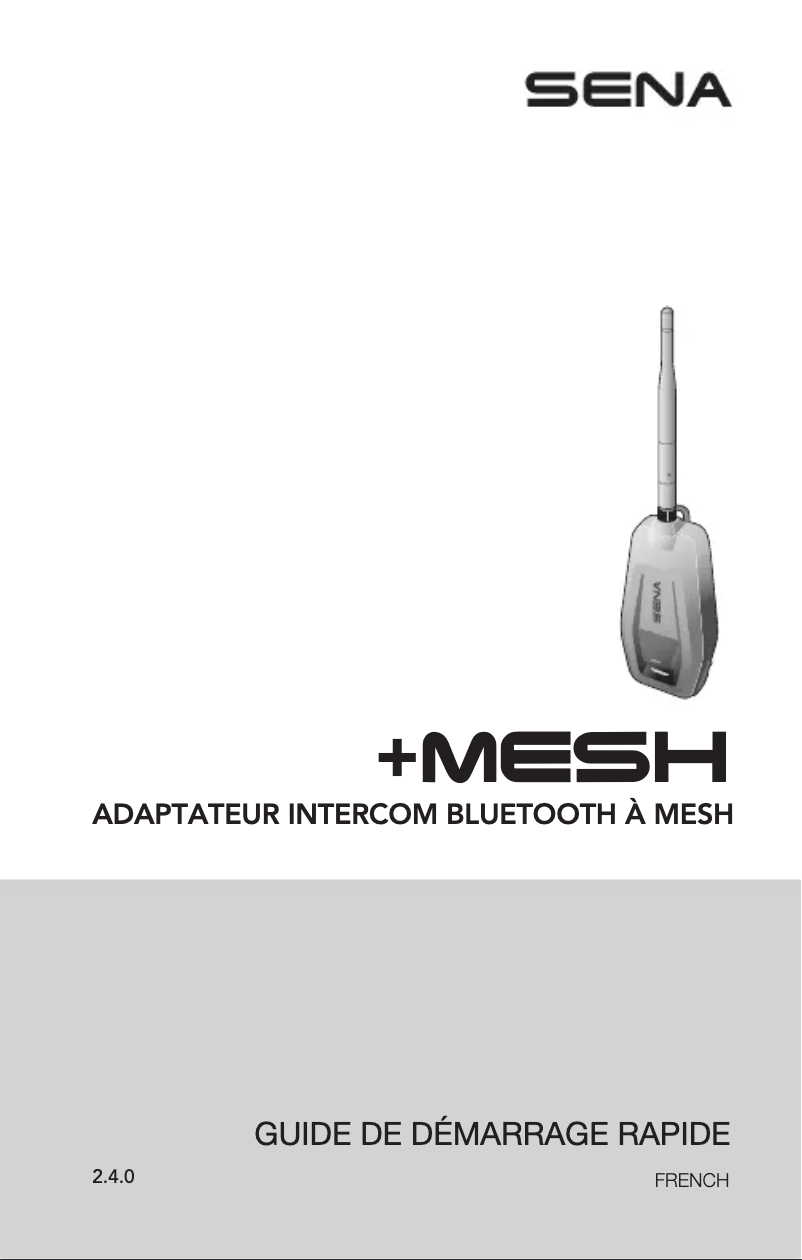 Image de la première page du manuel de l'appareil +Mesh