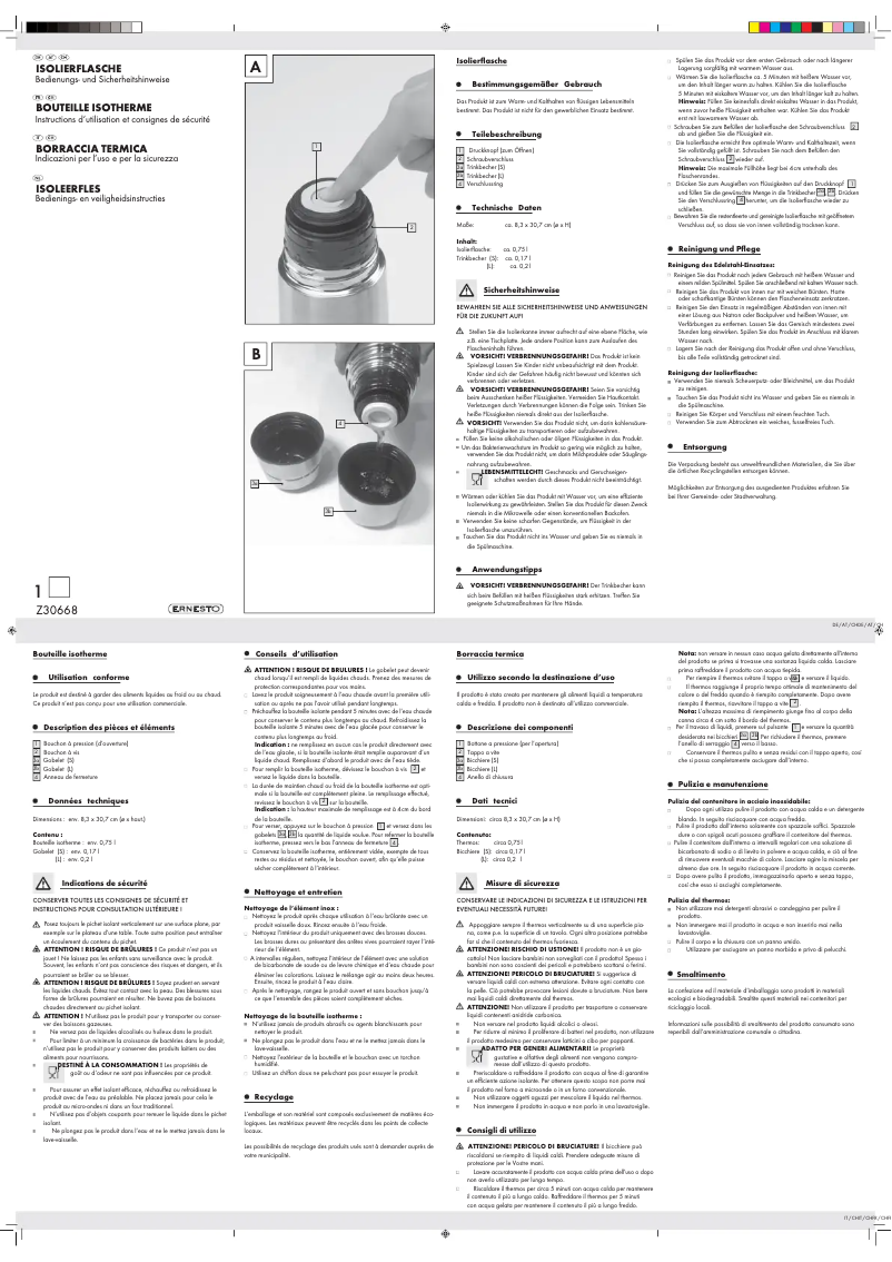 Page 1 de la notice Manuel utilisateur Ernesto Z30668
