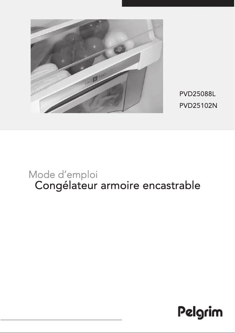 Page 1 de la notice Mode d'emploi Pelgrim PVD25088L