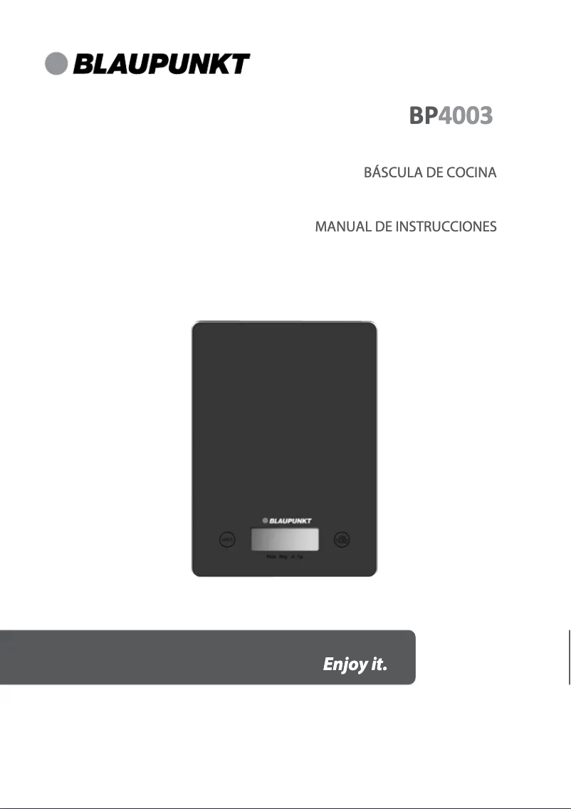 Page 1 de la notice Manuel utilisateur Blaupunkt BP4003
