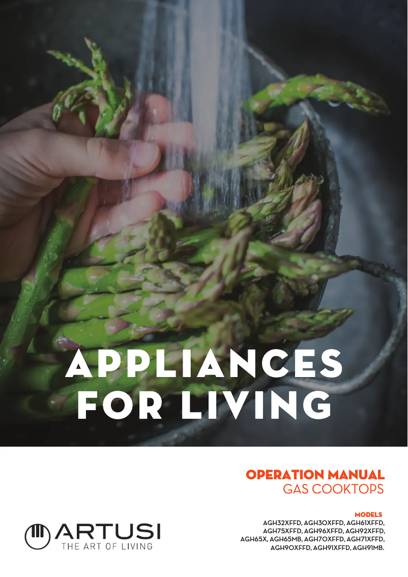 Page 1 de la notice Manuel utilisateur Artusi AGH91MB